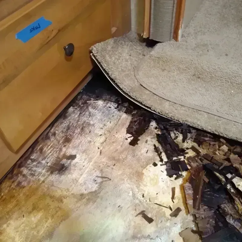 Best Wood Floor Water Damage Service in Harbour Heights, FL